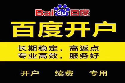SEM服务助力电商行业案例解读